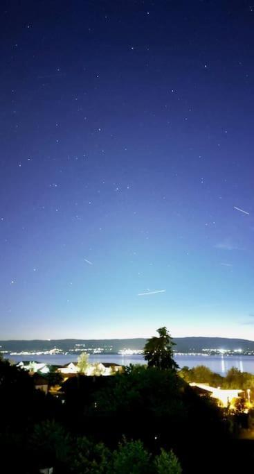 Appart Cosy Avec Vue Sur Le Lac Leman Evian-les-Bains Exterior photo